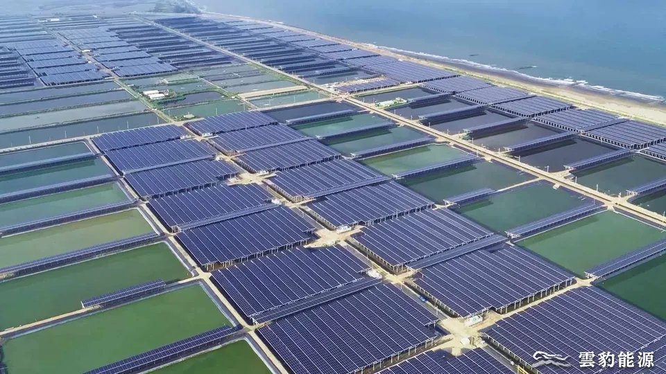 萬傳媒：雲豹能源 儲能與太陽光電新工程推動下半年營收