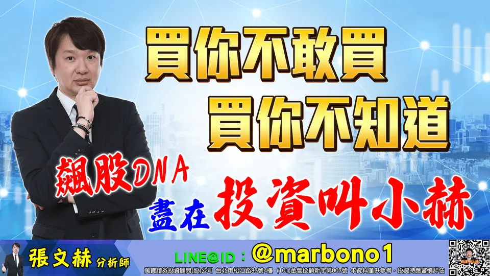 張文赫分析師獨家觀點:誰可能是下一個矽統?